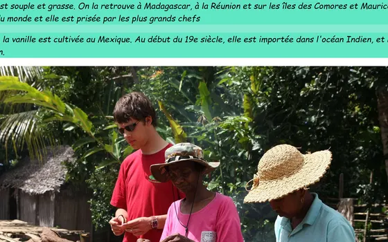 Page d'accueil du site Vanille de Madagascar