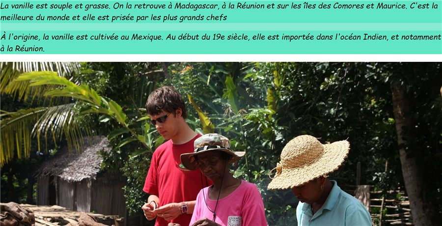 Page d'accueil du site vitrine Vanille de Madagascar