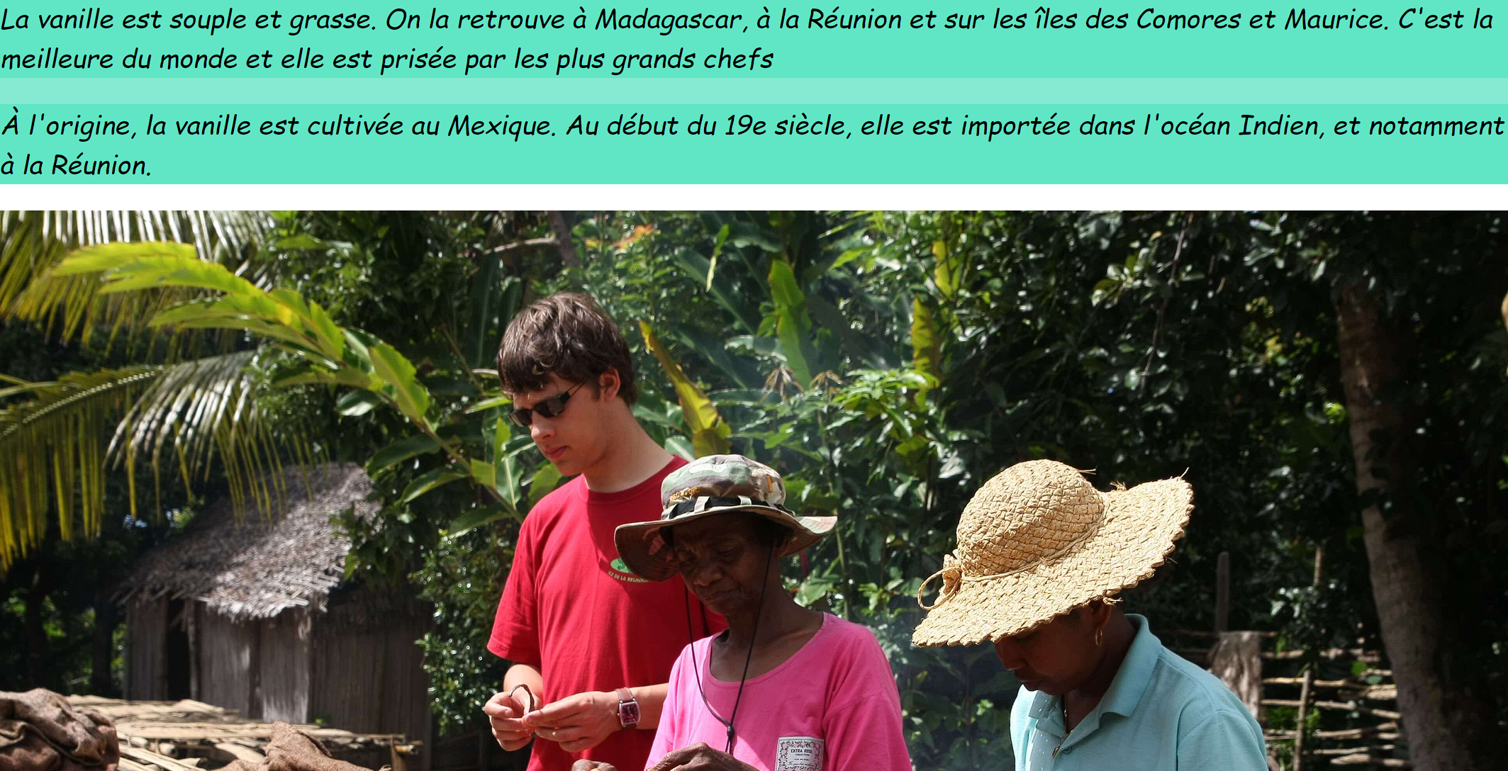 Vanille de Madagascar